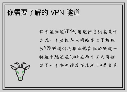 你需要了解的 VPN 隧道 