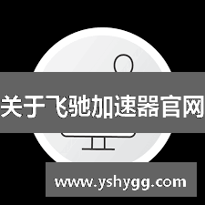 关于飞驰加速器官网